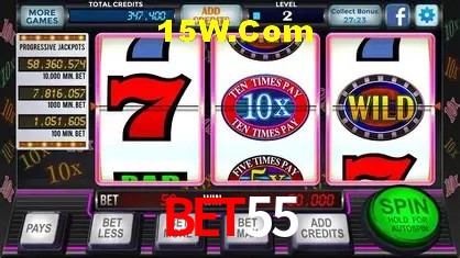 Experiência VIP bet55